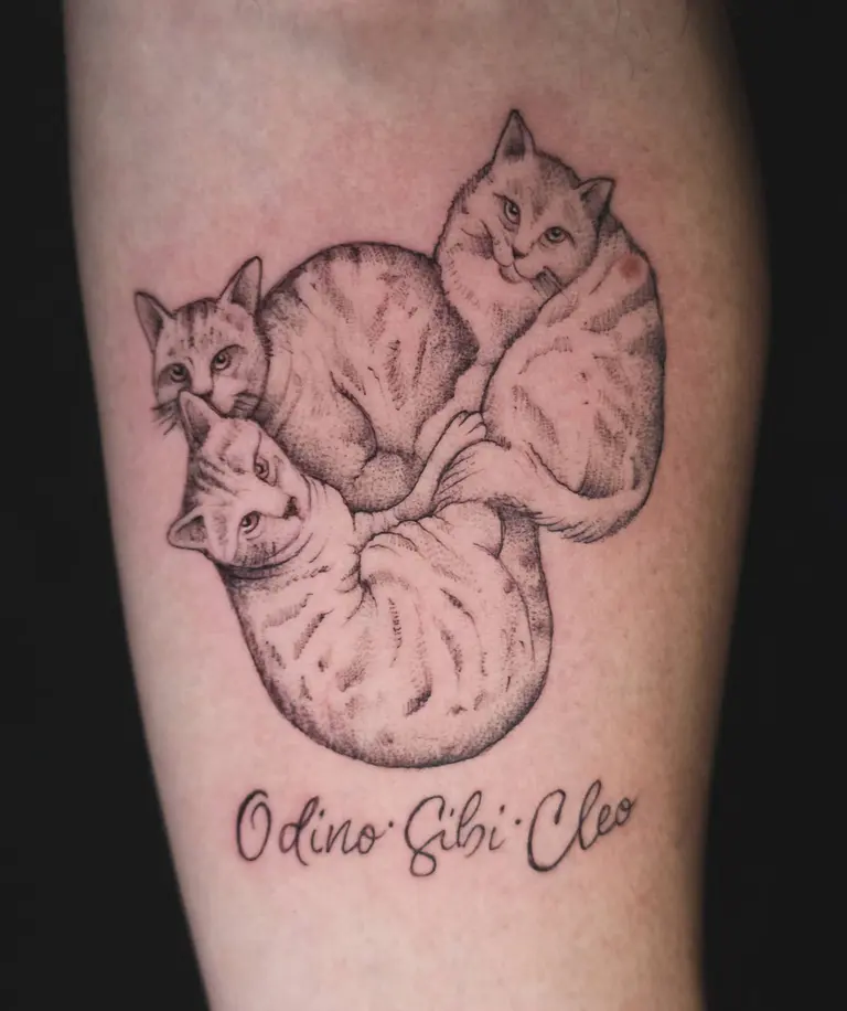 Tre gatti abbracciati tatuati sul polpaccio.