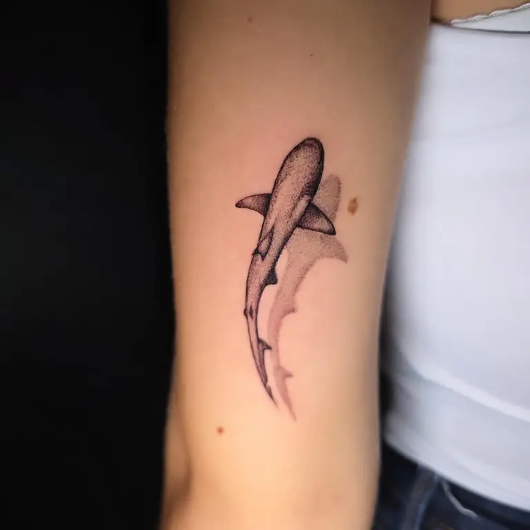 Piccolo squalo tatuato sul braccio.